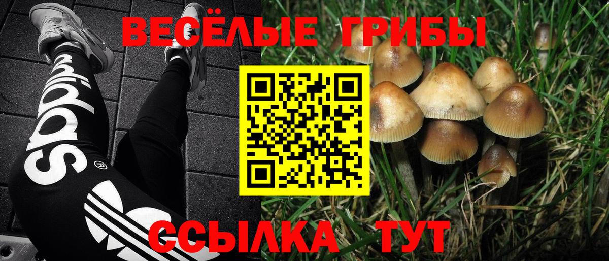 Дятьково  Галлюциногенные грибы мухоморы  Псилоцибиновые грибы Magic Shrooms  Вход с VPN 