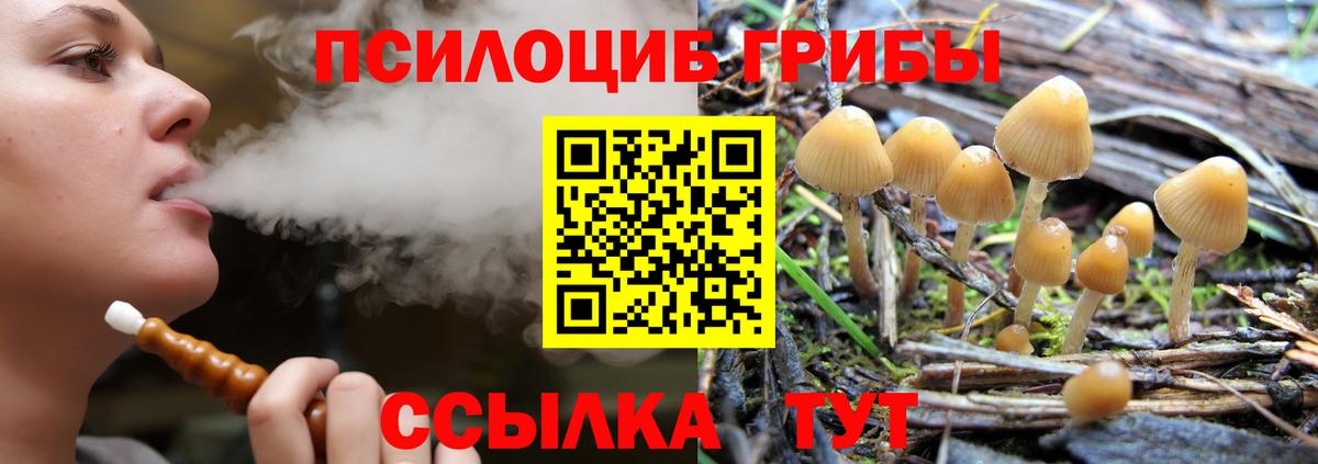 Псилоцибиновые грибы GOLDEN TEACHER Дятьково